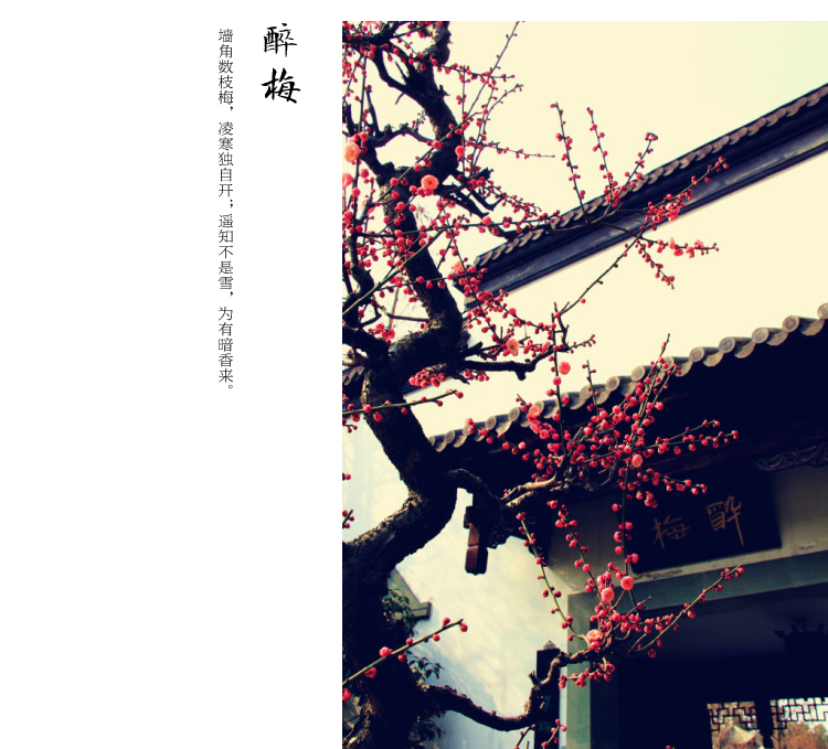 钻石画十字绣客厅新款钻石十字绣钻石绣卧室5d钻石画满钻砖石点钻石画梅兰竹菊十字绣梅花大幅 100*40cm魔方圆钻满钻升级版26切面更闪亮