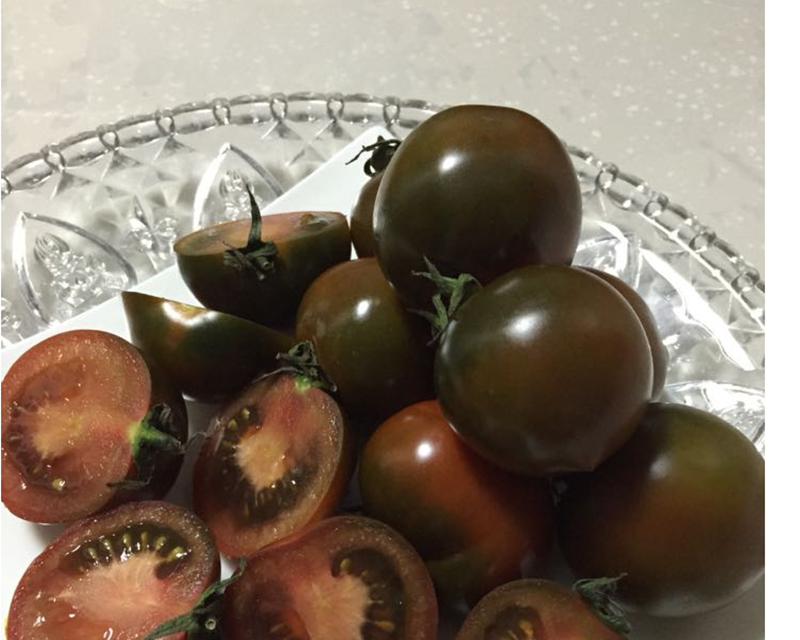 东北新鲜黑元帅西红柿2.5kg 黑番茄黑珍珠美人柿子 生鲜蔬菜