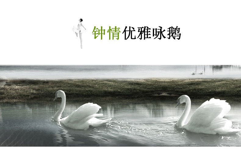 炜腾P12自动上水器茶具加水器电动抽水器家用 桶装水抽水泵压水器电动吸水器 优雅白