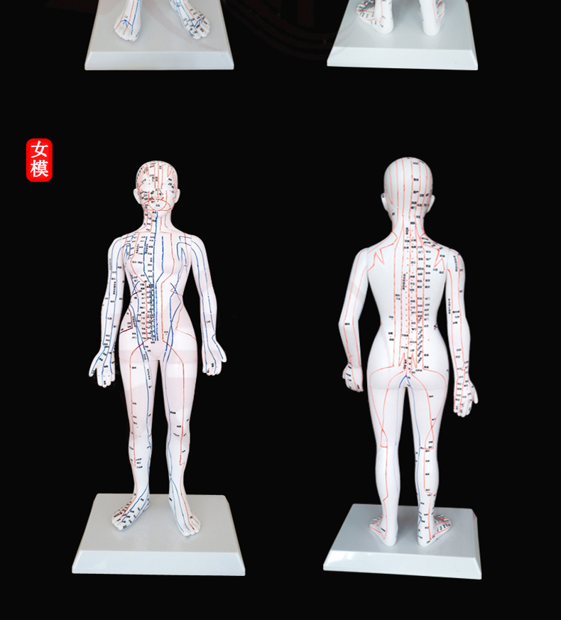 针灸铜人 高清刻字中医人体经络穴位模型图推拿按摩教学练针 耳部足部