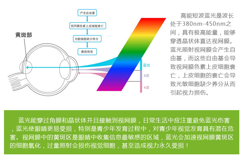 LED可充电式大台灯大号护眼学习书桌床头灯学生宿舍锂电充电台灯 厂家直发 珍珠白