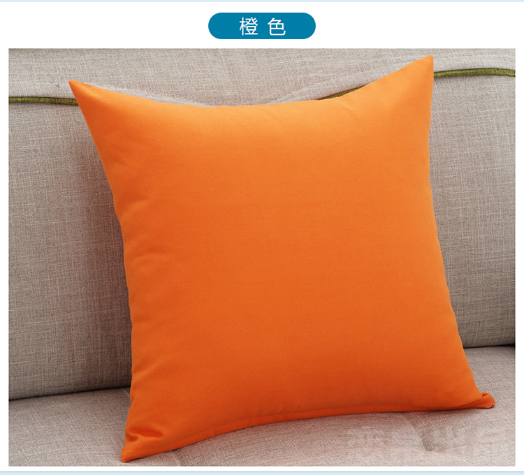 
                                        草木之语 抱枕靠垫枕办公室午睡枕套芯护腰枕靠坐垫 青枝 40cm*40cm                