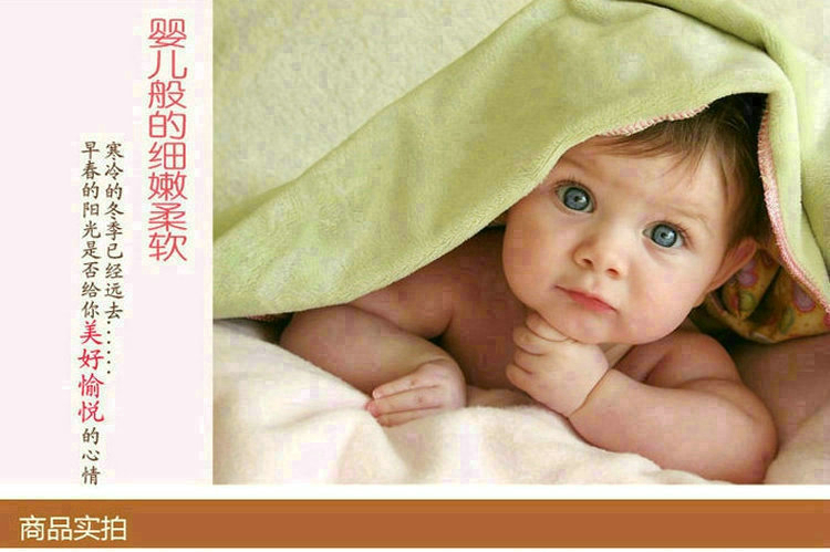2015秋冬新款2.2斤长毛超柔拉舍尔儿童毯子双面双层印花毛毯特价包邮 迷你狗-兰 105*130CM 2.2斤