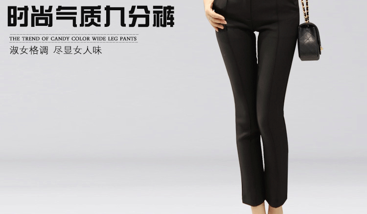 诺莱姿 2015秋季韩版西裤女裤子显瘦直筒职业休闲小脚裤九分长裤282 杏色 XXL