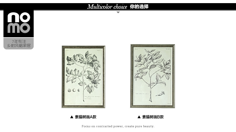 售完无补 NOMO art deco美式素描画客厅玄关装饰画挂画 花鸟风景 达尔文笔记 A款