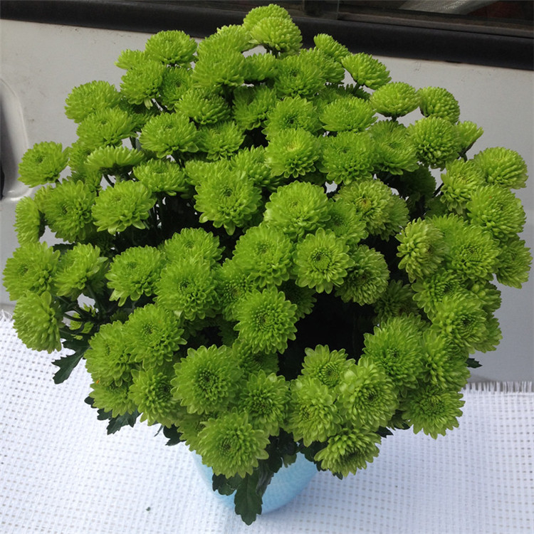 鲜花速递杭州广州武汉上海北京花店同城配送进