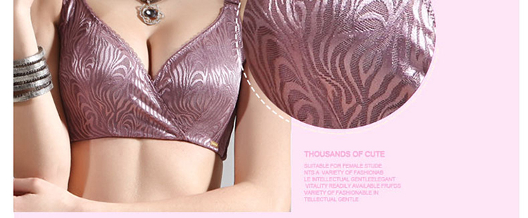 仙子宜岱女式内衣无钢圈<em>文胸</em>聚拢舒适<em>ABC</em>杯