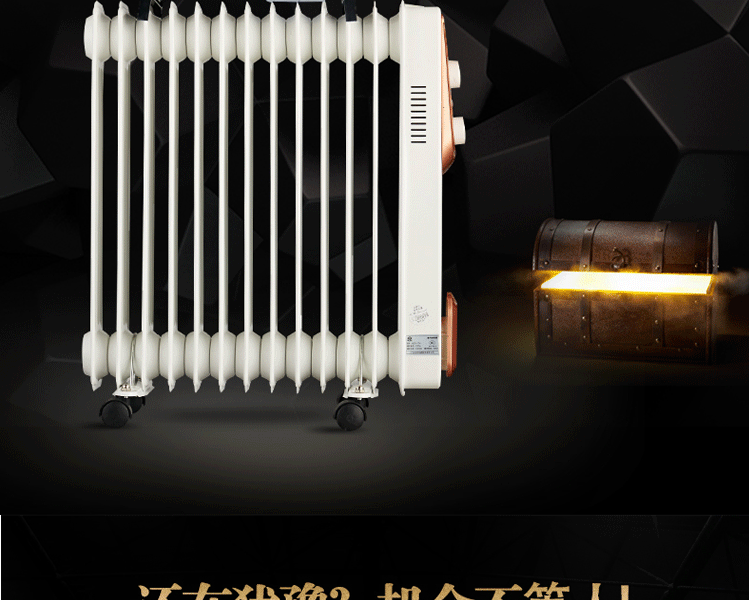 取暖器 电热油汀式电暖器电暖气片家用恒温静音节能 电油丁 9片白色