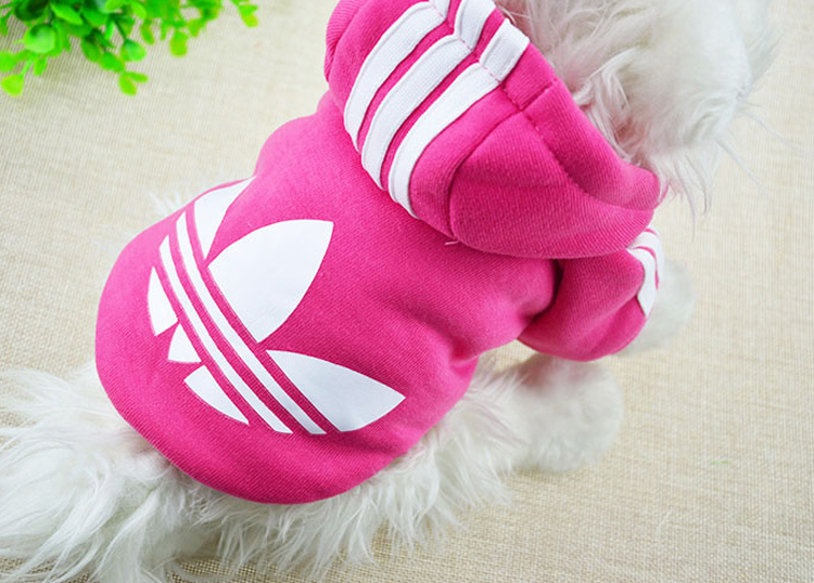 Pets Allowed Clothes Campaign sweater/Fall/Winter Collections dog clothing/small dog clothes tedu VIP than Xiong puppies Hiromi autumn and winter Load Color random al panda sweater S picture, prices, brand platters! The elections are supplied in the national character of distribution, so action, buy now enjoy more preferential! As soon as possible.