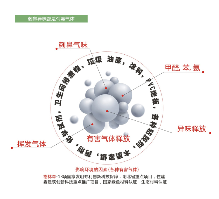 格林·森特 藻钙装修除甲醛空气净化宝 200g*20袋/箱  新房装修家具去除甲醛苯油漆味