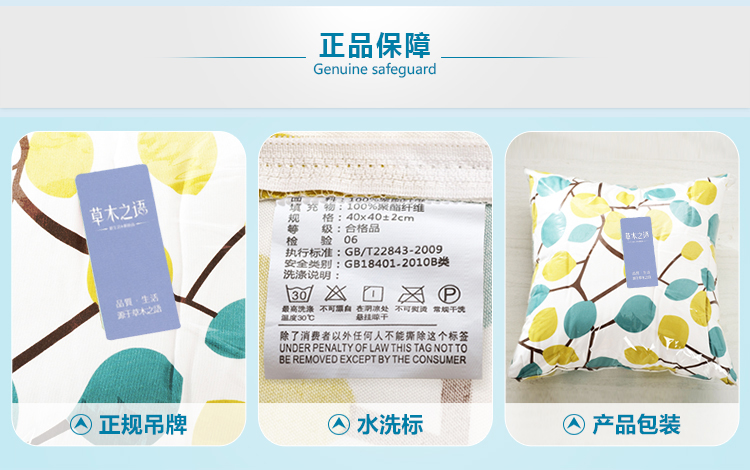 
                                        草木之语 抱枕靠垫枕办公室午睡枕套芯护腰枕靠坐垫 青枝 40cm*40cm                