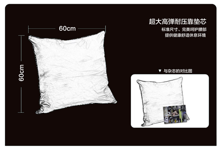 
                                        清沁 办公室抱枕 沙发抱枕芯 特价靠垫靠枕芯45 45 50 50 60 60 65 65 45cm*45cm                