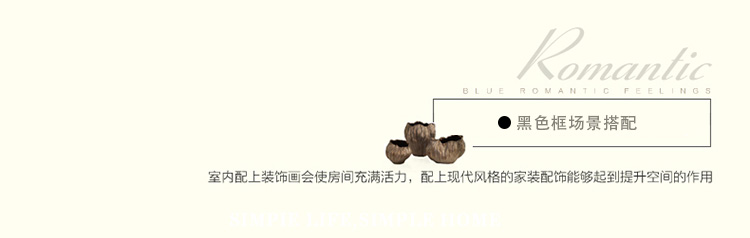 
                                        森朴 欧式客厅沙发背景墙装饰画 美式乡村有框画三联画 书房挂画经典蝴蝶壁画 咖啡金框ACD3件套( 45*60                