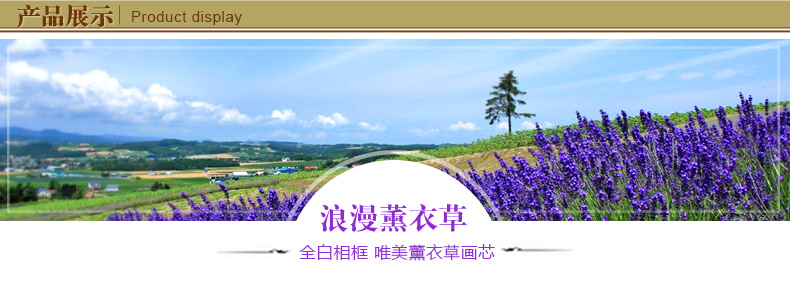 
                                        欧影12框钟表照片墙 置物架相片墙 创意蒲公英墙贴相框组合 全白                