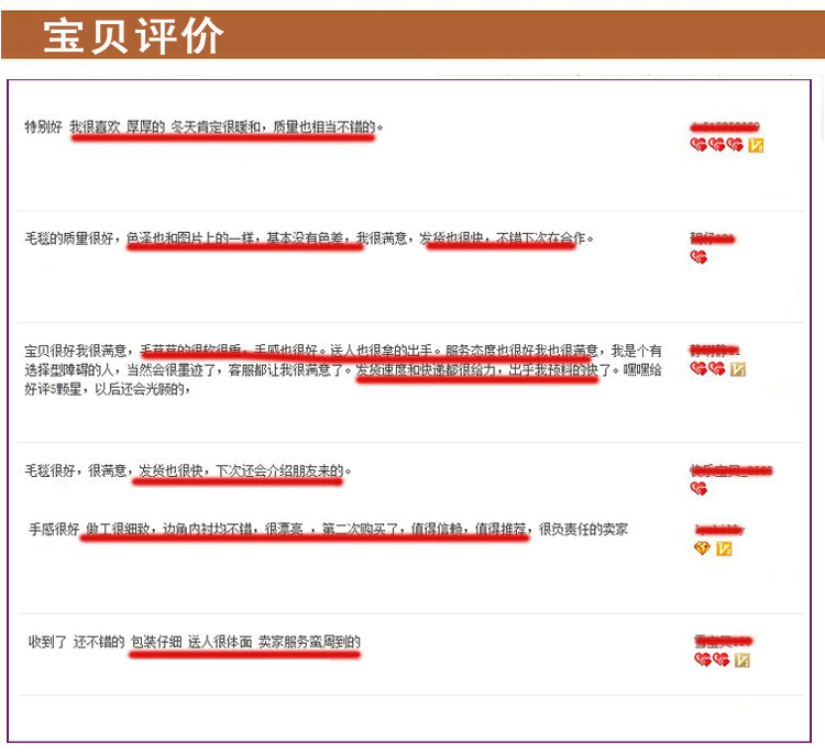 2015秋冬新款2.2斤长毛超柔拉舍尔儿童毯子双面双层印花毛毯特价包邮 迷你狗-兰 105*130CM 2.2斤