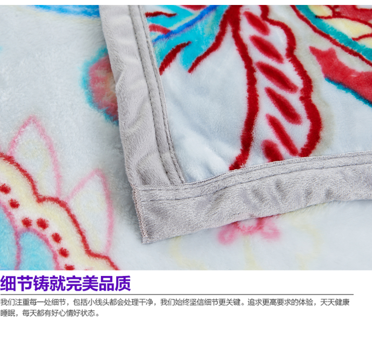 亲见家纺 床上用品 云貂绒毛毯加厚空调毯双人毯 毯子 爱丽丝-蓝 150*200