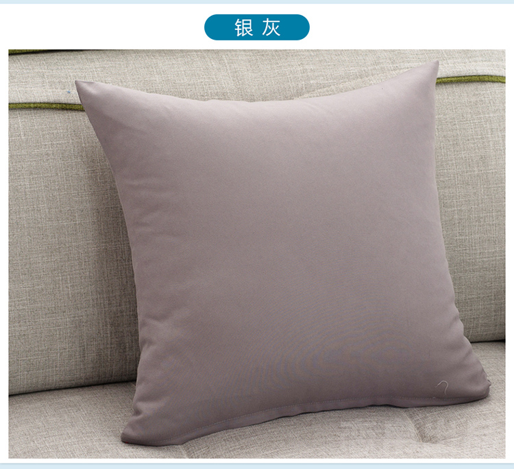 
                                        草木之语 抱枕靠垫枕办公室午睡枕套芯护腰枕靠坐垫 青枝 40cm*40cm                