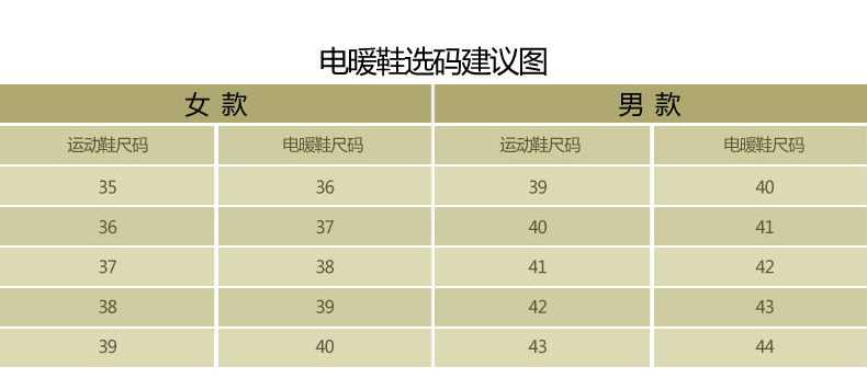 凤凰电暖鞋 电热暖脚鞋 保暖鞋12V安全低压电热鞋暖脚器暖脚宝 女款咖啡色38码