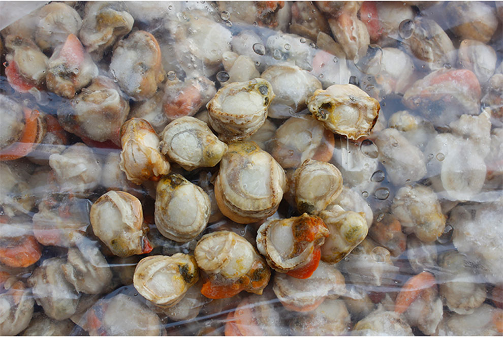 新鲜扇贝肉现剥 团购 - 京东团购全国站