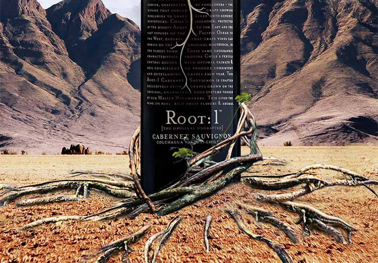 智利进口红酒 神树珍藏赤霞珠干红葡萄酒 750