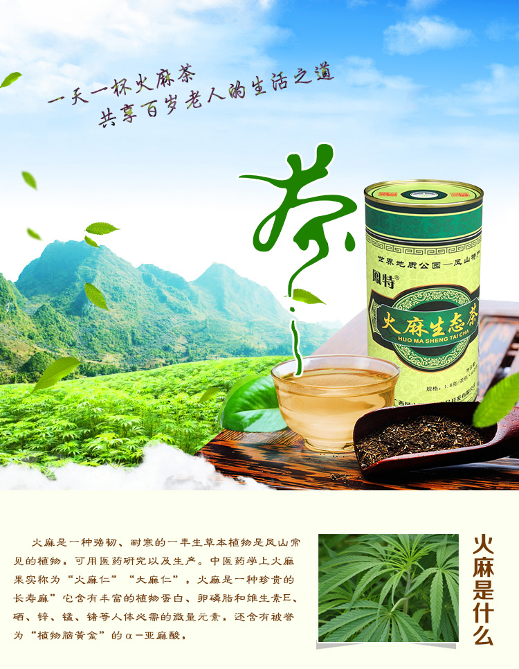 鳯特火麻茶 火麻生态茶 广西凤山特产礼盒袋泡茶包 绿茶养生茶 火麻茶