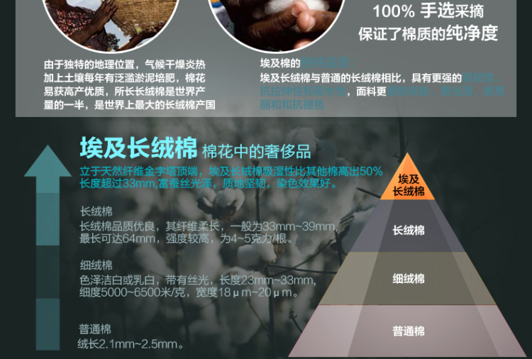 
                                        Royalrose皇室玫瑰 毛巾浴巾全棉埃及长绒棉加厚吸水纯棉浴巾单条装 月光倾城 杏色                