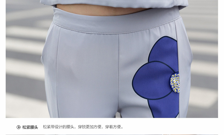 Zorn Carter2015秋季新品时尚印花长袖上衣两件套休闲裤OL职业套装8859 浅灰色 M