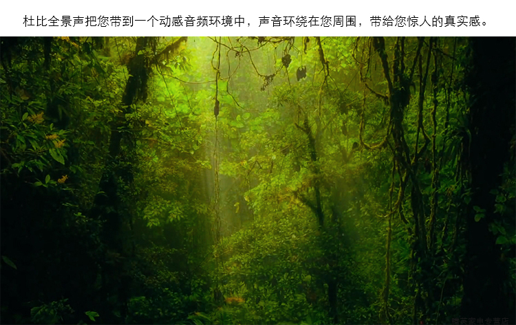 LG OLED77W8XCA 77英寸 4K超高清 智能壁