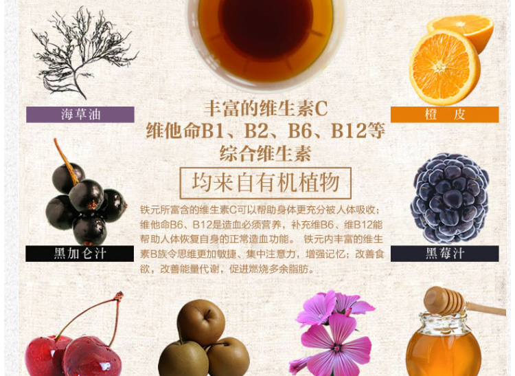 德国 Floradix iron铁元素草本营养液 红铁 250m