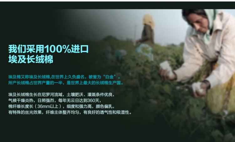 
                                        Royalrose皇室玫瑰 毛巾浴巾全棉埃及长绒棉加厚吸水纯棉浴巾单条装 月光倾城 杏色                