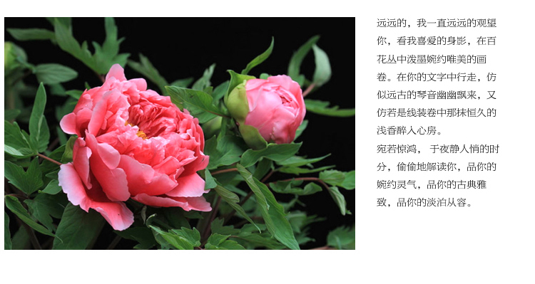 
                                        蒙娜丽莎十字绣客厅新款花开富贵十字绣牡丹花印花十字绣卧室十字绣餐厅十字绣餐厅新款 215*55cm中格法国棉线精准印花                