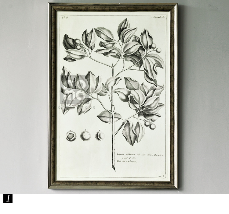 售完无补 NOMO art deco美式素描画客厅玄关装饰画挂画 花鸟风景 达尔文笔记 A款
