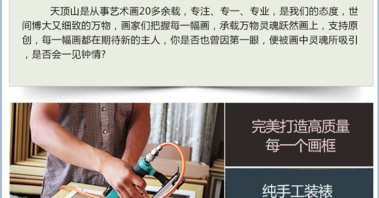 天顶山装饰画客厅三联画墙贴有框画背景墙画壁画花卉油画甜美清新田园欧式乡村酒店会所餐厅装饰画 E款单幅价 42X42cm