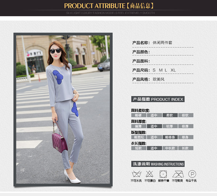 Zorn Carter2015秋季新品时尚印花长袖上衣两件套休闲裤OL职业套装8859 浅灰色 M