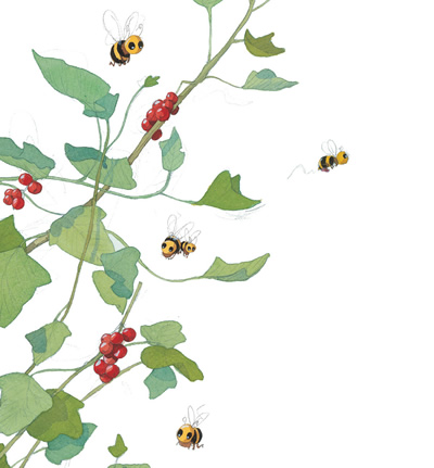 第一次独自面对世界绘本系列(第一辑)小蜜蜂的美丽新世界