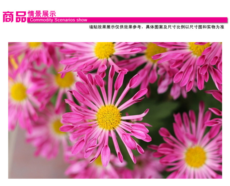 客厅卧室走廊墙贴可移除PVC防水墙贴 地脚线腰线过道楼梯踢脚线贴纸 绿野诗意 50*70