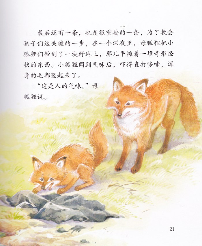 西顿动物故事(低幼版)-6-春田狐