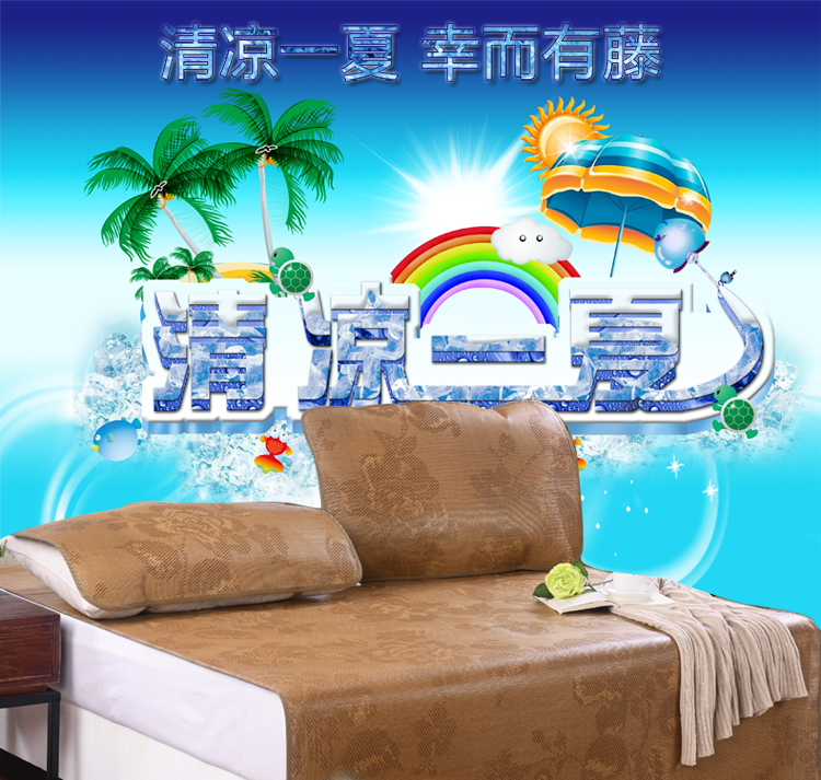 
                                        莱枕亿夏凉席子 学生藤席 0.9m米宿舍上/下铺高低铺1.2m米宽单人床 1.5m1.8m米宽双人床 100cm宽*190cm长/学生床席                