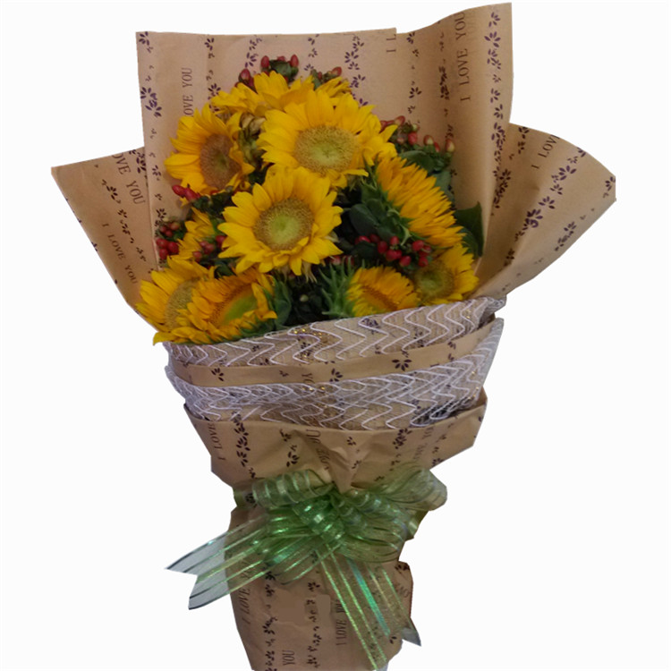 梦北京简谱 李胜素