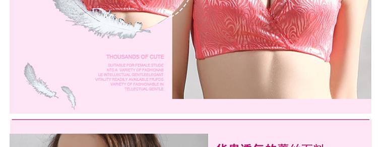 仙子宜岱女式内衣无钢圈<em>文胸</em>聚拢舒适<em>ABC</em>杯