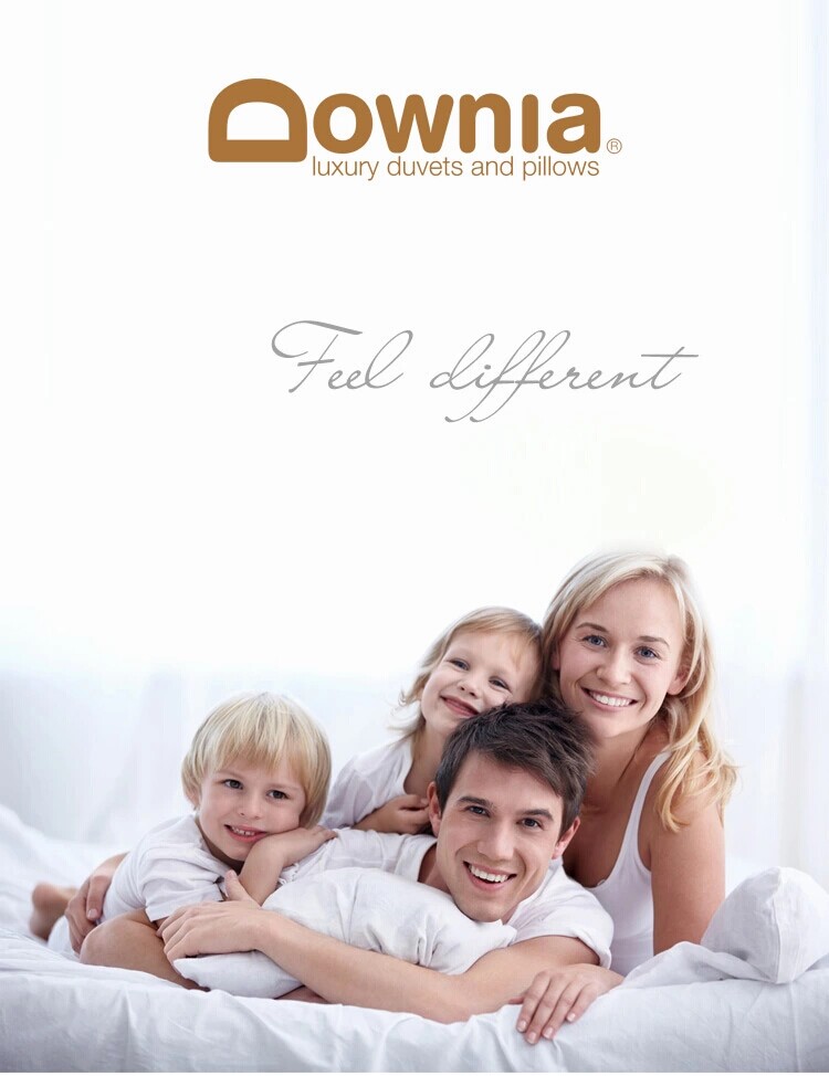 Downia 鸭绒枕 四季同款定制家庭款羽绒小枕（五星级酒店枕） 家庭常规款四季偏软鸭绒小枕1只 送枕套 48cm*74cm