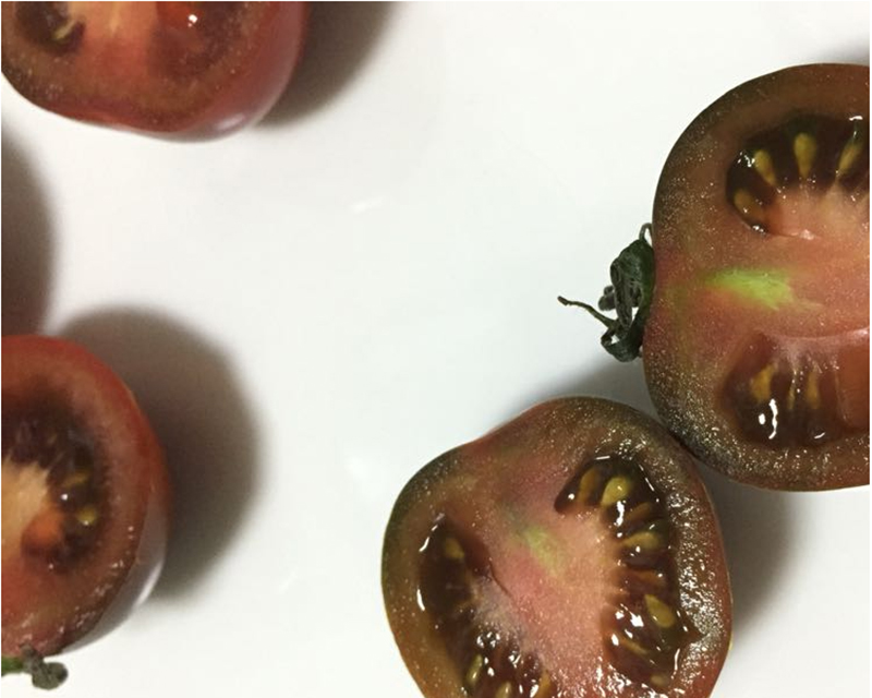 东北新鲜黑元帅西红柿2.5kg 黑番茄黑珍珠美人柿子 生鲜蔬菜