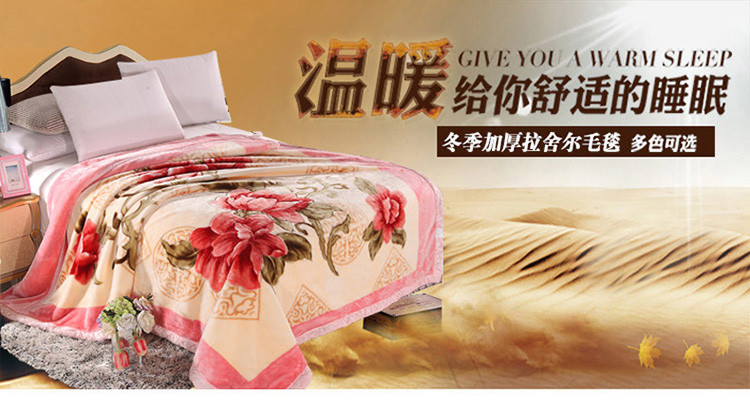 
                                        皛胜家纺 床上用品 双层双人拉舍尔压花毛毯毯子盖毯 大喜 150*200cm/四斤                