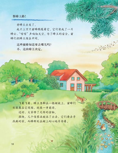 我的自然生态图画书系 小蜜蜂的生活日记