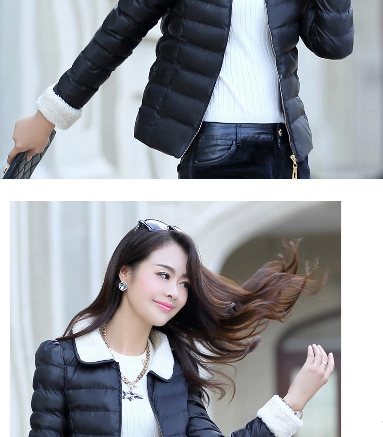潘歌 2015新款秋冬大码百搭棉衣短外套 女 HY300 紫色 L(建议95-105斤)