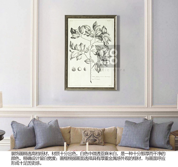售完无补 NOMO art deco美式素描画客厅玄关装饰画挂画 花鸟风景 达尔文笔记 A款
