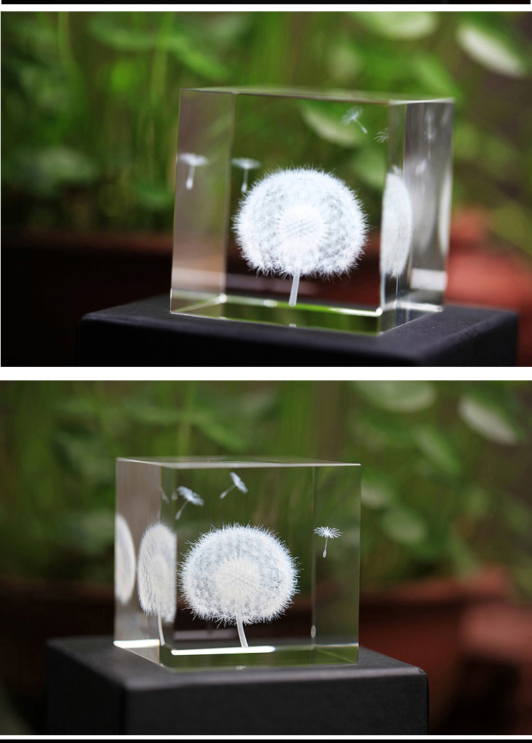 
                                        创意水晶摆件植物立方体蒲公英标本生日礼物送女友植物标本 蒲公英水晶                