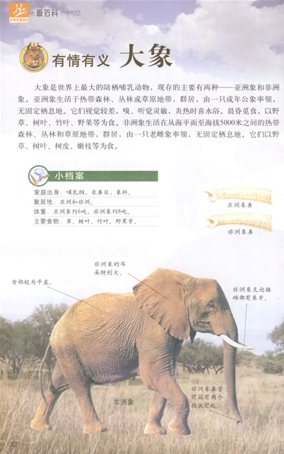 小学生爱读本-令孩子着迷的百科王国走进动物园