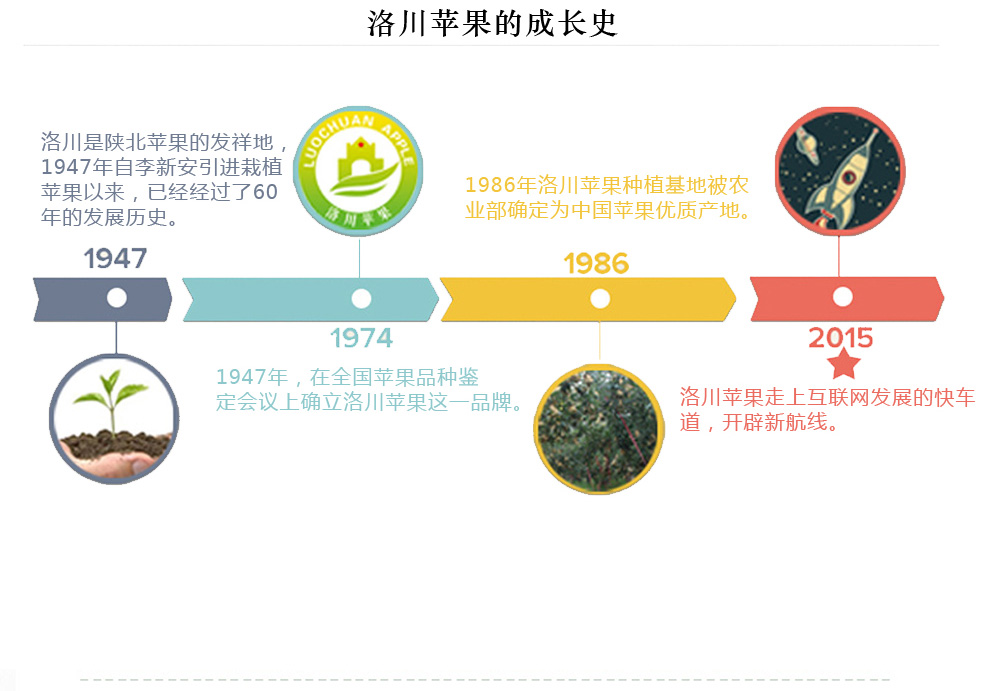 陕西洛川精品苹果 团购 - 京东团购全国站