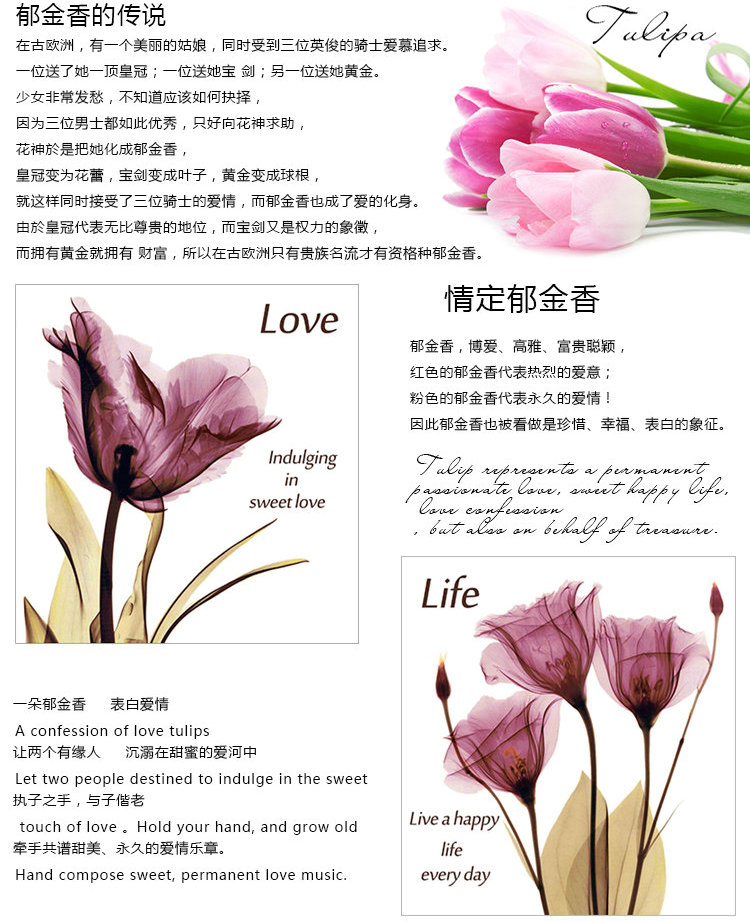 包邮 皇家至尊蒙娜丽莎十字绣新款客厅卧室大幅5D钻石画郁金香花卉系列现代欧式壁画三联画简约 (钻石画一套3个)虞美人44*47厘米每个 魔方钻